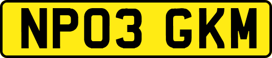 NP03GKM