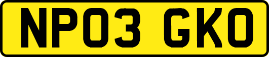 NP03GKO
