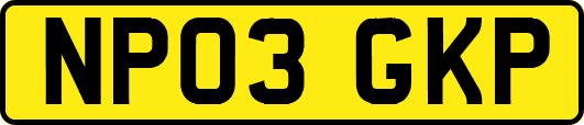 NP03GKP