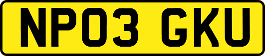 NP03GKU