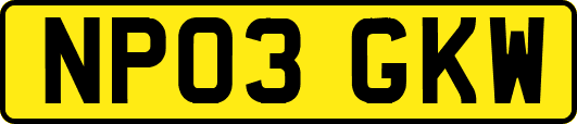 NP03GKW
