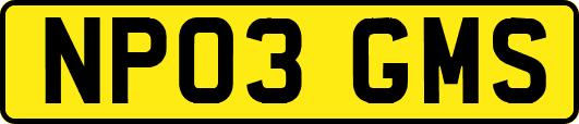 NP03GMS