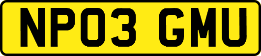 NP03GMU
