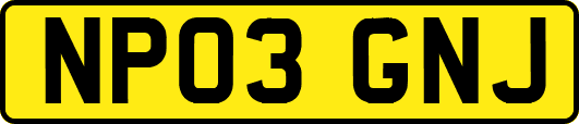 NP03GNJ