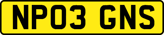 NP03GNS