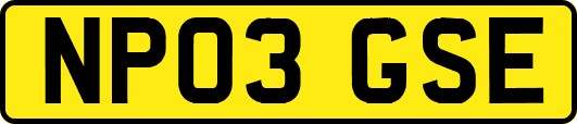 NP03GSE