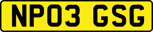NP03GSG