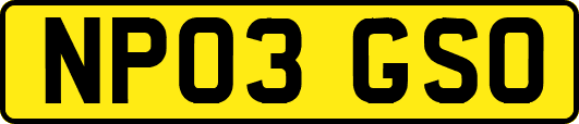NP03GSO