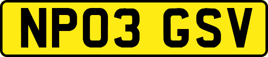 NP03GSV