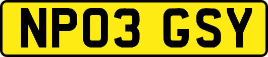 NP03GSY
