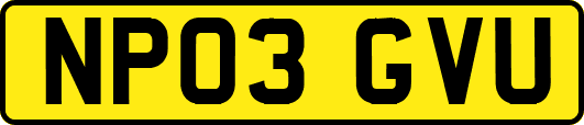 NP03GVU