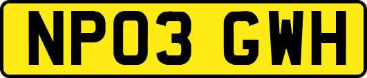 NP03GWH