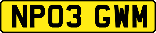 NP03GWM