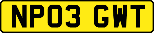 NP03GWT