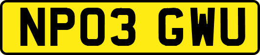 NP03GWU