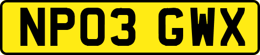 NP03GWX