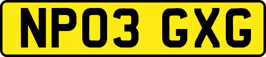 NP03GXG