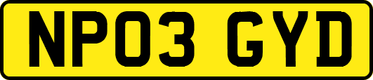 NP03GYD