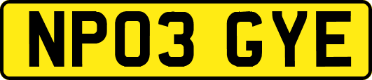 NP03GYE