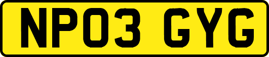 NP03GYG