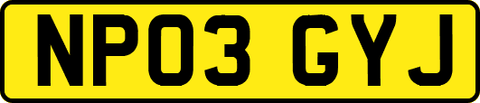 NP03GYJ