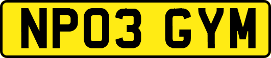 NP03GYM