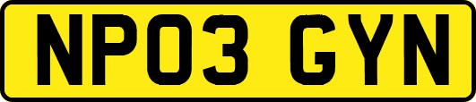 NP03GYN