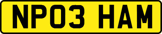 NP03HAM