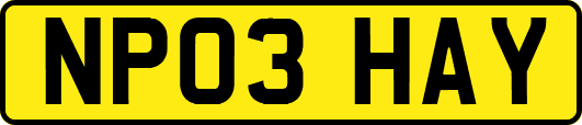 NP03HAY