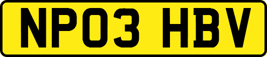 NP03HBV