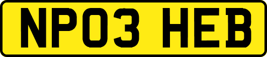 NP03HEB