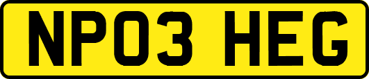 NP03HEG