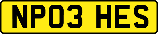 NP03HES