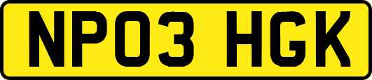 NP03HGK