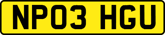 NP03HGU