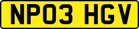 NP03HGV