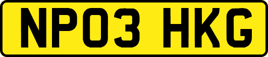 NP03HKG