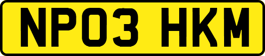 NP03HKM