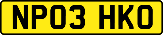 NP03HKO