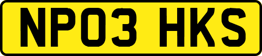 NP03HKS
