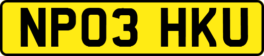 NP03HKU