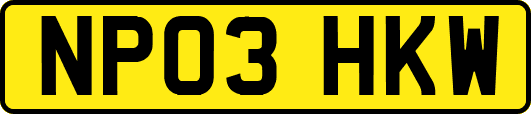 NP03HKW