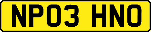 NP03HNO