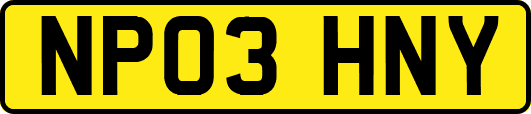NP03HNY