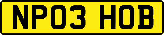 NP03HOB