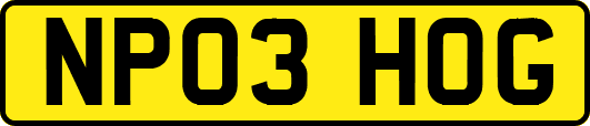 NP03HOG