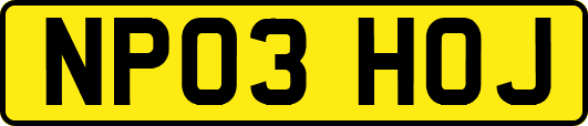 NP03HOJ