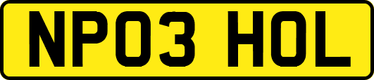 NP03HOL