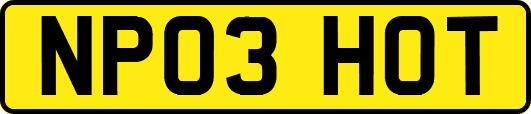NP03HOT