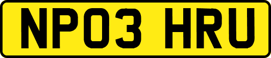 NP03HRU